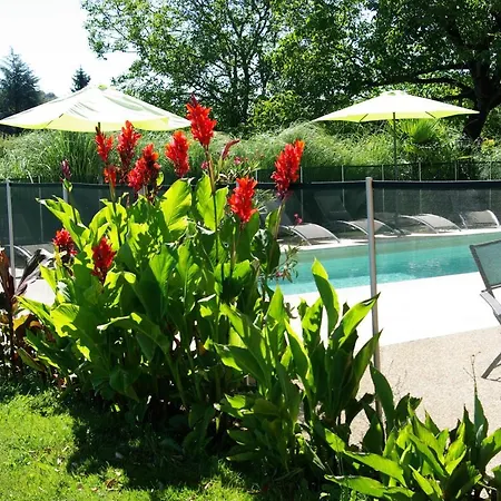 Great House- Swimmingpool And Jacuzzi -10km From Sarlat La Caneda Везак