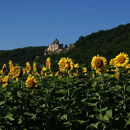 Great House- Swimmingpool And Jacuzzi -10km From Sarlat La Caneda Vézac